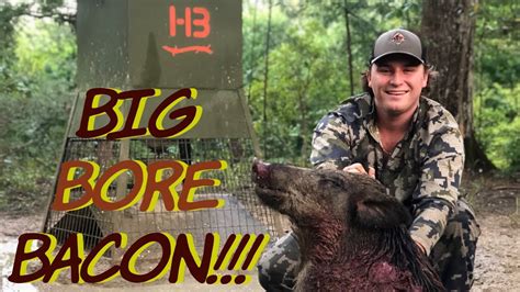 cheap hog hunts in mississippi
